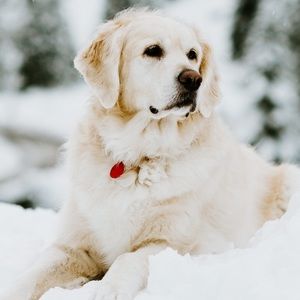 Meet your Posher, Anjuli